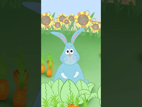 🐾 ცხოველები