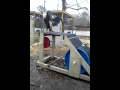 Gamecock Extreme