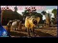 I Tamed A Max Level Direwolf But At What Cost Ark Survival Ascended EP13