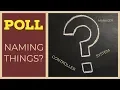 What do Controller System Manager mean to you - Naming Poll