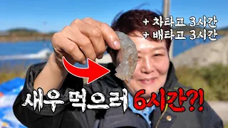 (엄마몰래) 제철 새우 먹으러 목포 + 신안(섬)까지 갔다?! 무항생제 양식장 체험 부터, 전자렌지로 만드는 소금구이 꿀팁까지