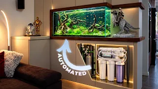 Building The Ultimate Luxury Aquarium | Fully Automated Home Tank
