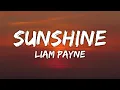 Download Lagu Liam Payne - Sunshine (Lyrics)