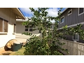How Fast Does a Grafted Tahitian a k a Persian Bearss Lime Tree Grow