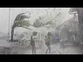 Download Lagu TOEN IK HULPLOOS WAS TIJDENS EEN REGENSTORM EN HET GELUID VAN DE DONDER HEEL LUID WAS