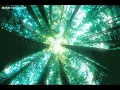 Joanie Madden：The Level Plain (Magh Seola).愛爾蘭風笛