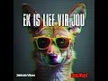 Ek is lief vir jou (Remix Version)