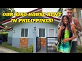 CHEAP HOUSE RENT 250 PER MONTH COST OF LIVING IN THE PHILIPPINES ALONA PANGLAO BOHOL