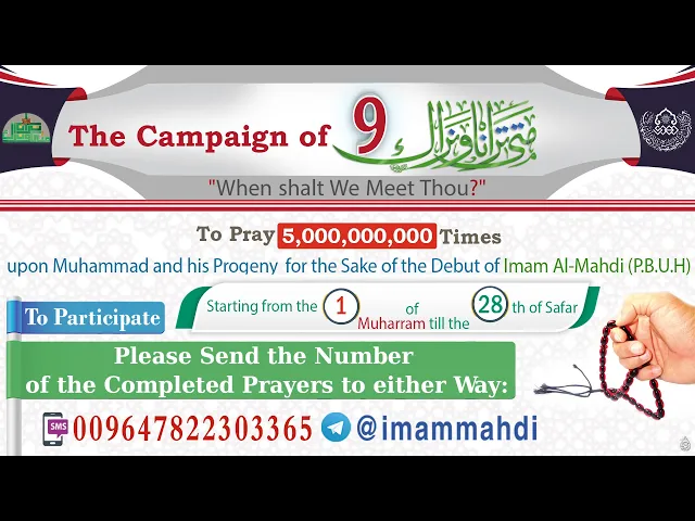 ⁣The Campaign of 