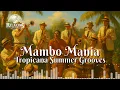 Download Lagu Mambo Mania: Tropicana Summer Grooves