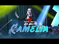 Download Lagu CAMELIA - ANI ARLITA -  NEW MONATA LIVE PATI PUTUH SINGO