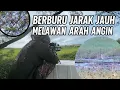Lagu BERBURU DI JARAK JAUH‼️WOW TIDAK DI SANGKA SHOTT TARGET BURUNG TRINIL\u0026TEKUKUR DI JARAK 100-M LEBIH😱✅