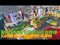 Download Lagu MENAKJUBKAN !! SAYURAN BUAH BUAHAN MURAH MELIMPAH DIKOTA MAKKAH