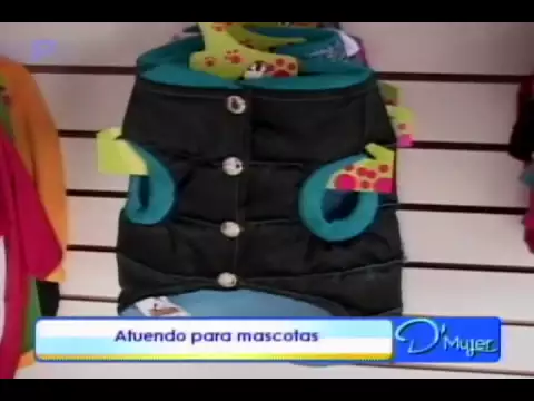 Atuendos para mascotas