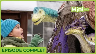 DINO DANA | EPISODE 8  | SAISON 4 | EN FRANCAIS