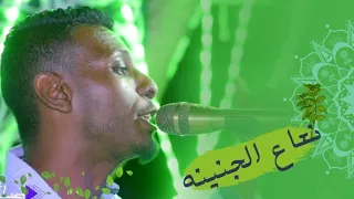 نعاع الجنينه الكروان لؤي صحافه  نعاع الجنينه الكروان لؤي صحافه