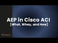 ACI Attachable Access Entity Profiles AEP