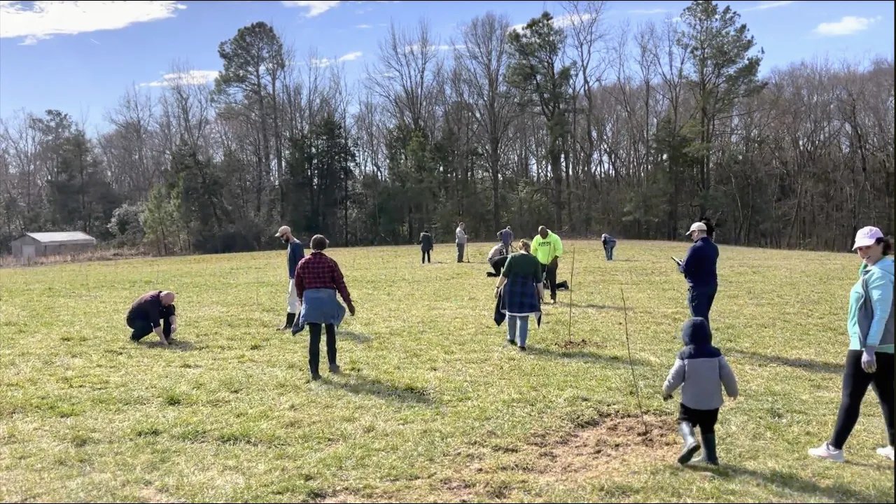 Dreams Do Come True! | Planting Our Dream Orchard
