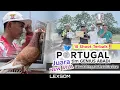 Download Lagu 🔴 Merpati Mewah‼️ 10 shoot Terbaik PORTUGAL tim Genius Abadi, Juara 2 new Ayla p3mkbi lapak slatri