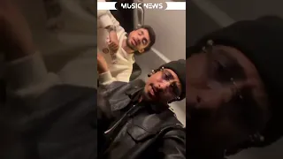 Fure M3a Raste Raste Furelise 