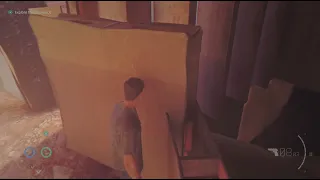                                دندنها