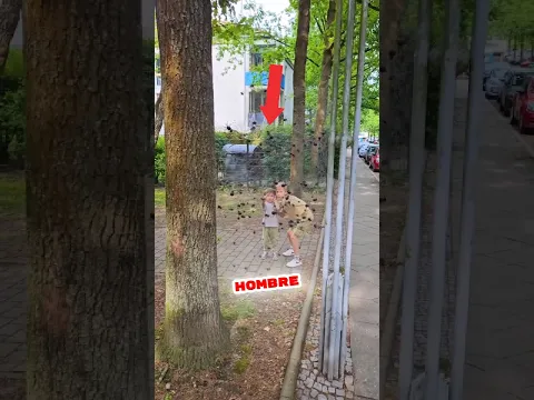 Ella Aceptó 100 € Por Correr Entre Arañas Gigantes! 🕷️💶