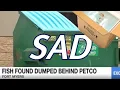 Why I quit my job at Petco The TRUE story
