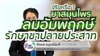 ทำไมการใช้ยาสมุนไพรลมอัมพฤกษ์รักษาอาการชาปลายมือปลายเท้าจึงไม่ควรแชร์ต่อโดยไม่ตรวจสอบ