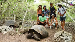 GALÁPAGOS, onde a VIDA ANIMAL segue LIVRE – Unforgettable Sailing (Ep.96)