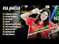 Download Lagu Via Amelia - SENJA DAN PARAS TANPA MAHKOTA - BERTAHTA DIATAS TANAH MEREKA || FULL DANGDUT HITS 2024