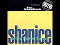 Shanice - Saving Forever For You (Instrumental)