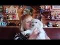 Download Lagu Подхватила какую- то зараZу....