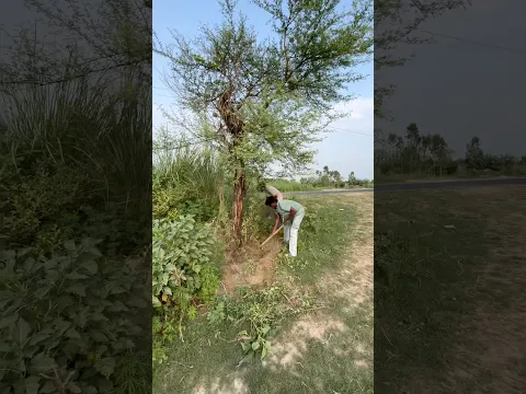 पेड़-पौधों के बिना मानव जीवन अधूरा #help #helpingothers #helping