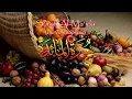 Download Lagu 005   Sura Al Maidah by Sheikh Mishary Rashed Alafasy   ᴴᴰ full    سورة المائده مشاري العفاسي