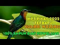 Download mp3 pikat kolibri wulung ampuh 2022|| jaminan 100% lengket√