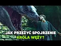 Lagu NAJSTRASZNIEJSZY POTWÓR W HOGWARCIE? #harrypotter