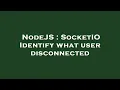 NodeJS SocketIO Identify what user disconnected