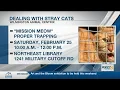 Community invited to learn more about trapping fixing stray cats