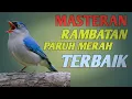 Download Lagu 🔴 RAMBATAN PARUH MERAH GACOR GAK ADA OBAT ‼️SANGAT COCOK BUAT MASTERAN MURAI, KACER DAN CUCAK IJO ‼️