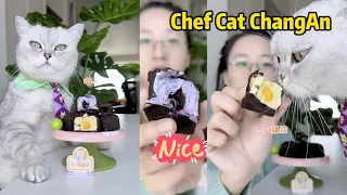 One-monthly Collection🤩: Cat-Chef Makes Molten Core Ice Cream.Which do you like?