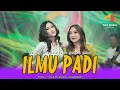Download Lagu SHINTA ARSINTA ft SHEPIN MISA - ILMU PADI | Raono Wong Sukses Tanpo Rekoso | Live Music Video