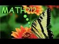 A Beautiful Butterfly Made with Math Equations