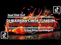 DJ BIARKAN CINTA TUMBUH SEBISANYA || REMIX TIKTOK VIRAL 2023 YANG KALIAN CARI DJ KARNA SU SAYANG