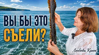 ВЫ БЫ ЭТО СЪЕЛИ? Водоросли после шторма в Ирландии