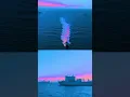 Download Lagu PHOTEX (Photo Exercise) with NATO allies during Joint Viking 2025