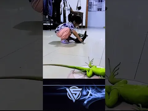 Anak kecil ini punya cara unik menidurkan hewan.