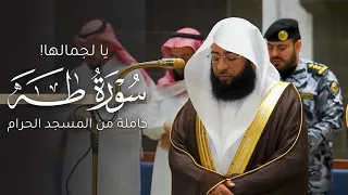 يا لجمالها    سورة ط ه كاملة من المسجد الحرام للشيخ بدر التركي                               دندنها