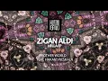Zigan Aldi - Other World feat. Hakan Vreskala