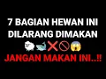 Download Lagu 7 BAGIAN HEWAN INI DILARANG DIMAKAN 🐑🐋❌🚫😱