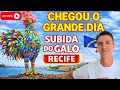 Lagu 🔴ao VIVO a SUBIDA HISTÓRICA do GALO da MADRUGADA 2026 - o MAIOR do MUNDO ESTÁ de PÉ 🐓